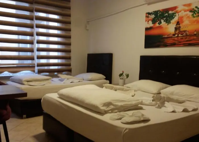 كيوي * اسطنبول